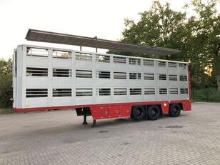 JUMBO Berdex 3 stock Livestock veewagen hefdak