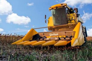 cabezal de girasol ELİBOL 2019 nuevo