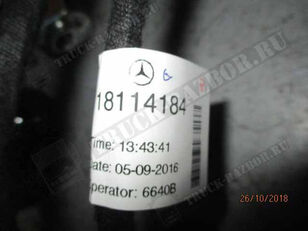 проводка двери, R (18114184) cableado para MERCEDES-BENZ tractora
